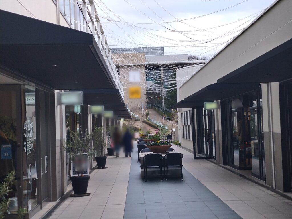 ぼかしモザイク_20240106_203455